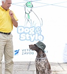 Jedan od pasa učesnika na Dog&Style reviji 